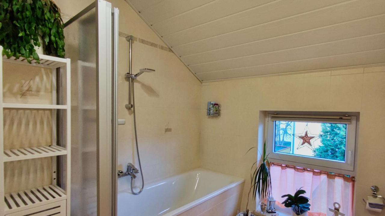 Mycozyplace - Zwei Gemuetliche Zimmer Fuer Vier Dresden Eksteriør bilde