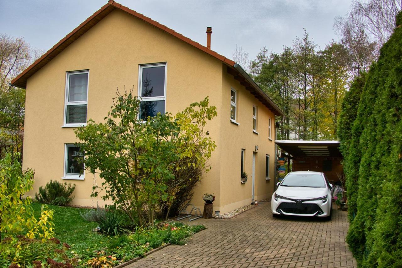 Mycozyplace - Zwei Gemuetliche Zimmer Fuer Vier Dresden Eksteriør bilde