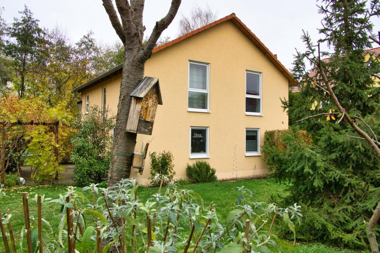 Mycozyplace - Zwei Gemuetliche Zimmer Fuer Vier Dresden Eksteriør bilde